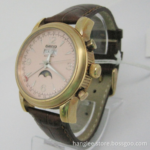 Stainless Steel Automatic Watch (HLSL-1008)